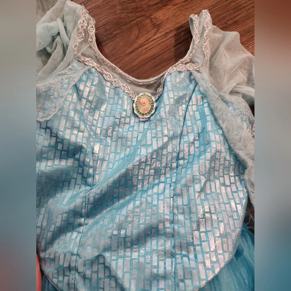 Disney Parks Elsa Dress